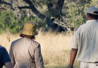 Piesze safari w Delcie Okawango