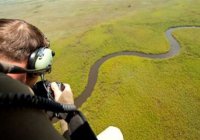 Safari helikopterem w Delcie Okawango 