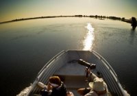 Safari łodzią na rzece Chobe